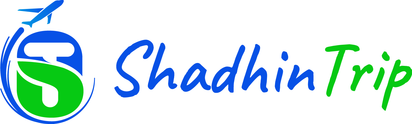 logo icon